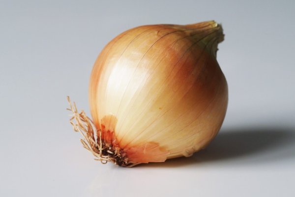 Kraken darknet onion